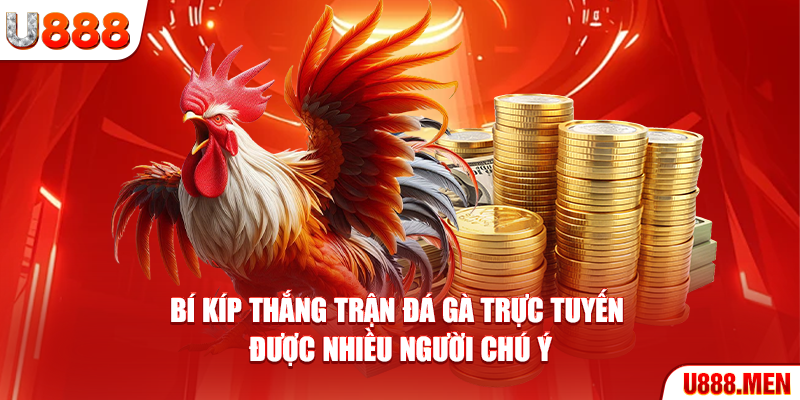 Đá Gà Trực Tiếp Thomo Siêu Đỉnh Cao Từ Nhà Cái U888 Bí kíp thắng trận đá gà trực tuyến được nhiều người chú ý