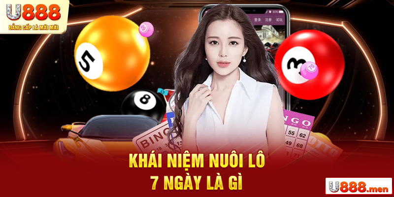 Nuôi Lô Khung 7 Ngày Là Gì? Kinh Nghiệm Nuôi Lô Đẳng Cấp Khái niệm nuôi lô khung 7 ngày là gì?