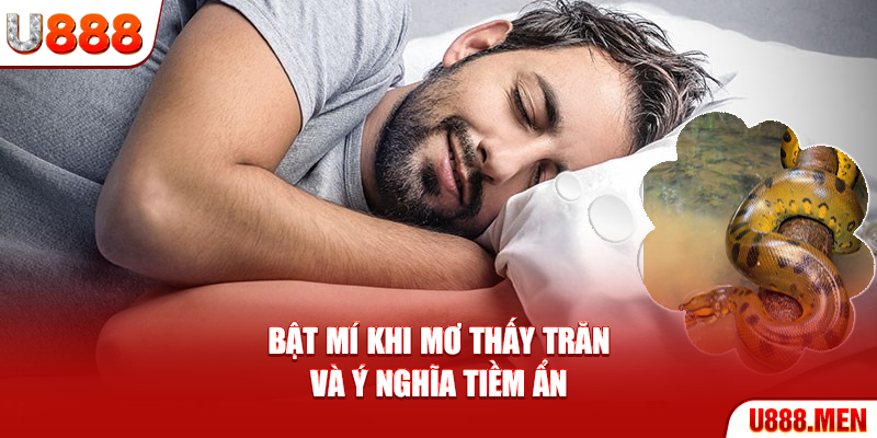 Mơ Thấy Trăn – Giải Mã Ý Nghĩa Và Dấu Hiệu Quan Trọng Bật mí khi mơ thấy trăn và ý nghĩa tiềm ẩn