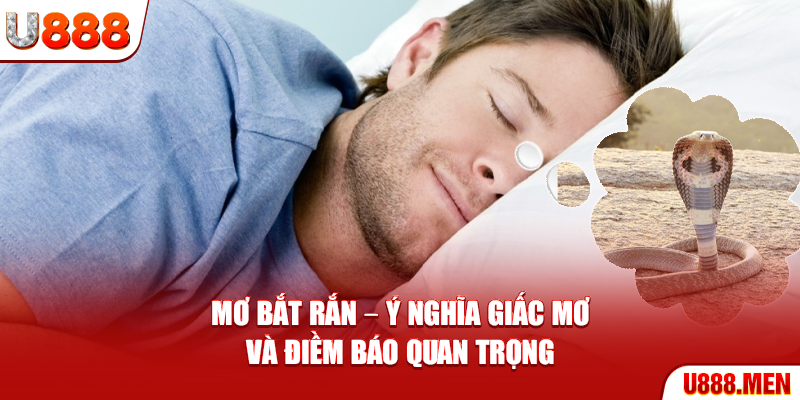Mơ Bắt Rắn – Ý Nghĩa Giấc Mơ Và Điềm Báo Quan Trọng Hình ảnh con rắn và ý nghĩa của nó trong phong thủy