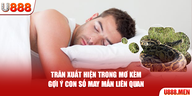 Mơ Thấy Trăn – Giải Mã Ý Nghĩa Và Dấu Hiệu Quan Trọng Trăn xuất hiện trong mơ kèm gợi ý con số may mắn liên quan